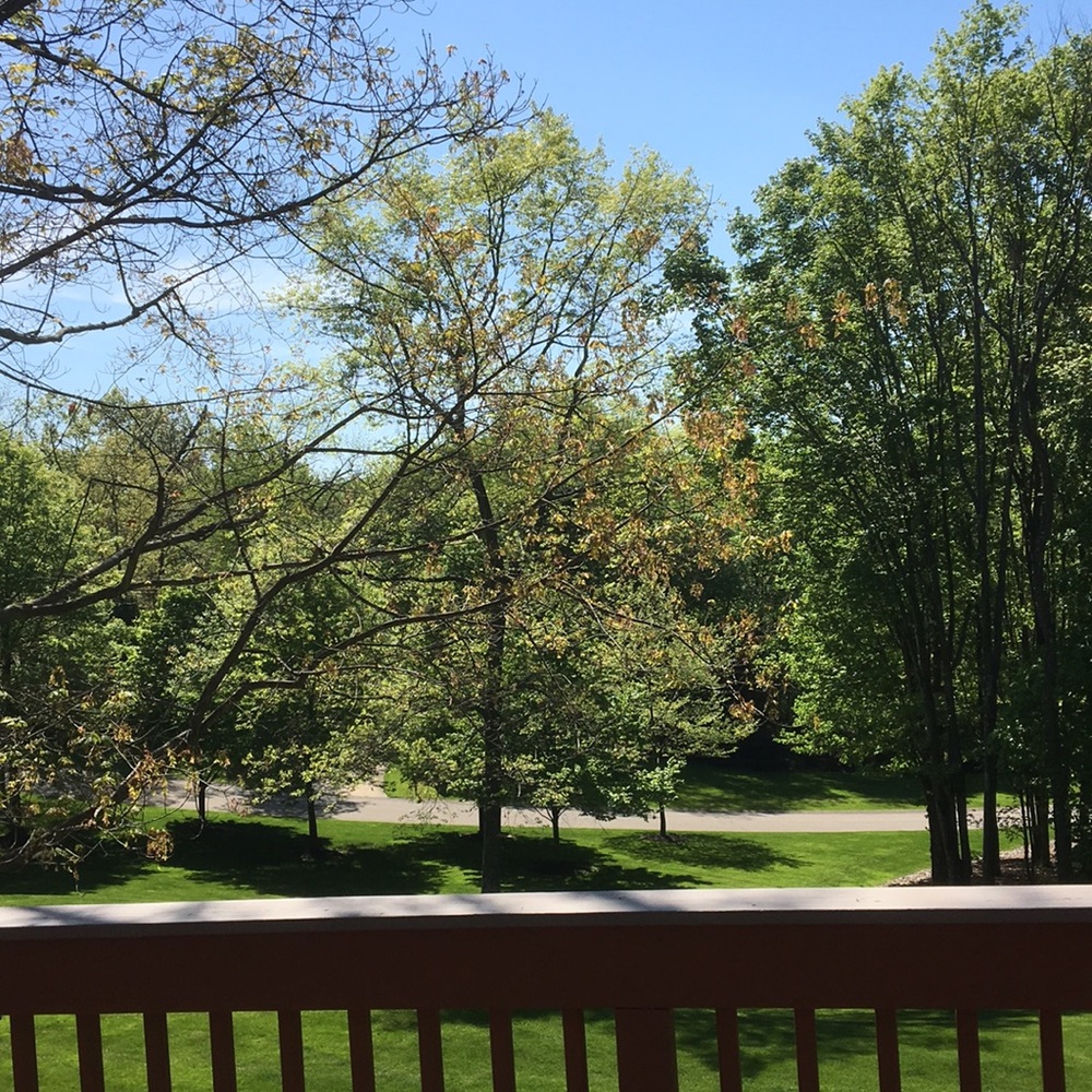 Meet your Posher, Marianne